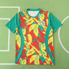 2526 season Senegal Training clothes Fan version