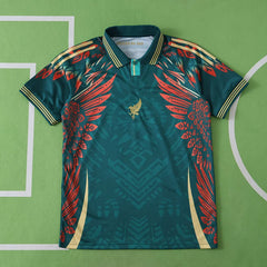 2526 season Mexico Concept version Fan version