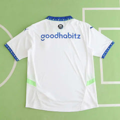 2425 season PSV Eindhoven third Fan version