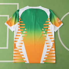 2425 season Venezia F.C. Concept version Fan version