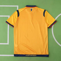 2526 season Ecuador away Fan version