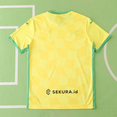 2425 season Norwich City F.C. home Fan version