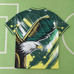 2425 season Brazil Concept version Fan version