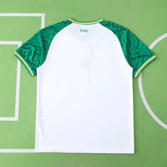 2526 season Ireland away Fan version