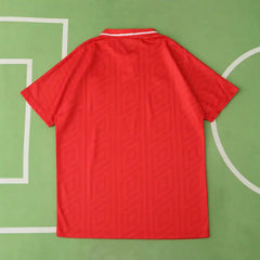 9294 season Wales home retro Fan version