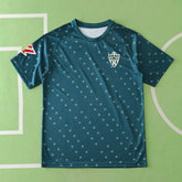 2425 season UD AlmerΓa away Fan version