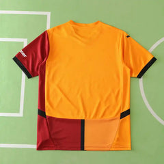 2425 season Galatasaray S.K. home Fan version