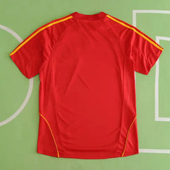 2008 season Spain home retro Fan version