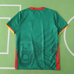 2526 season Cameroon home Fan version