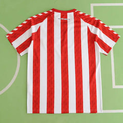2425 season Sunderland home Fan version