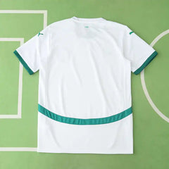 2425 season Senegal home Fan version