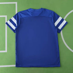 2526 season Hertha BSC Concept version Fan version