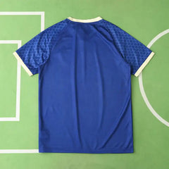 2425 season Japan Concept version Fan version