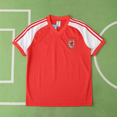 1982 season Wales home retro Fan version