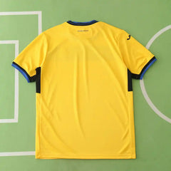 2425 season Atalanta B.C. third Fan version