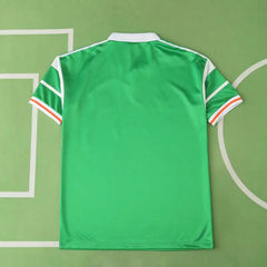 8890 season Ireland home retro Fan version