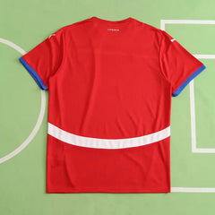 2024 UEFA Serbia home Fan version