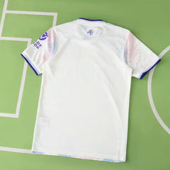 2526 season Aston Villa F.C. third Player version