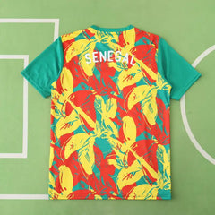 2526 season Senegal Training clothes Fan version