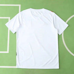 2425 season Japan Concept version Fan version