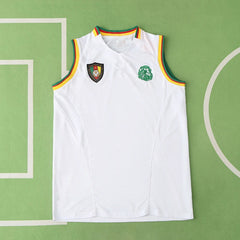 2002 season Cameroonretro Fan version