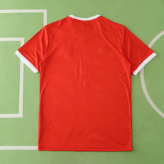 2425 season Fußball-Club Bayern München Concept version Fan version