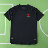 2425 season Aston Villa F.C. 125th anniversary Fan version