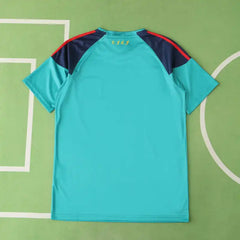 2010 season Spain goalkeeper retro Fan version