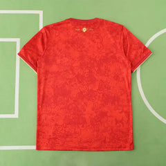 2425 season Spain Concept version Fan version