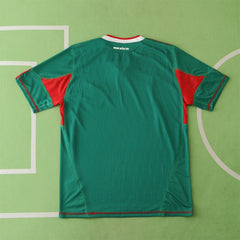2010 season Mexico home Fan version