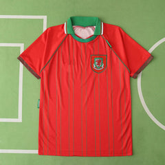 9496 season Scotland home retro Fan version