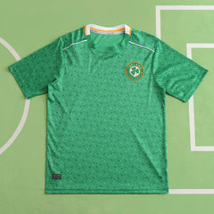 2425 season Ireland home Fan version