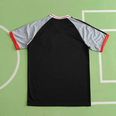 2425 Japan special edition Fan version