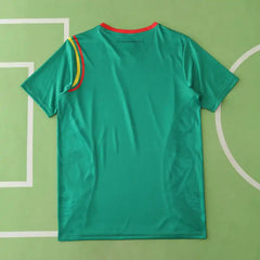 2425 season Cameroon home Fan version