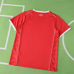 2026 season Tunisia home Fan version