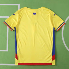2526 season Romania home Fan version