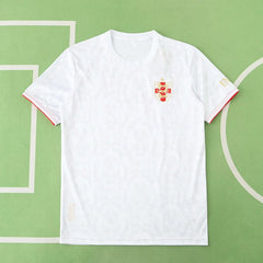 2425 season England Concept version Fan version