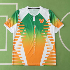 2425 season Venezia F.C. Concept version Fan version
