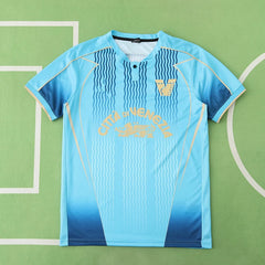 2425 season Venezia F.C. third Fan version