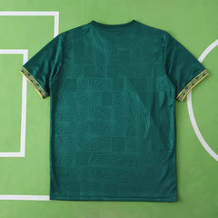 2526 season Mexico Concept version Fan version