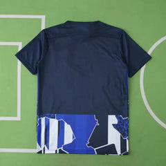 2526 season Hertha BSC Concept version Fan version
