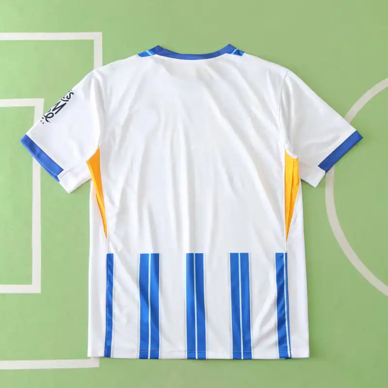 2425 season Brighton & Hove Albion F.C. home Fan version