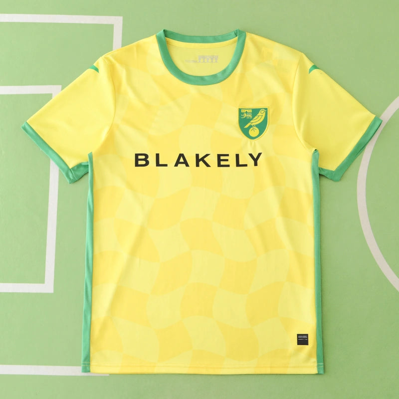 2425 season Norwich City F.C. home Fan version