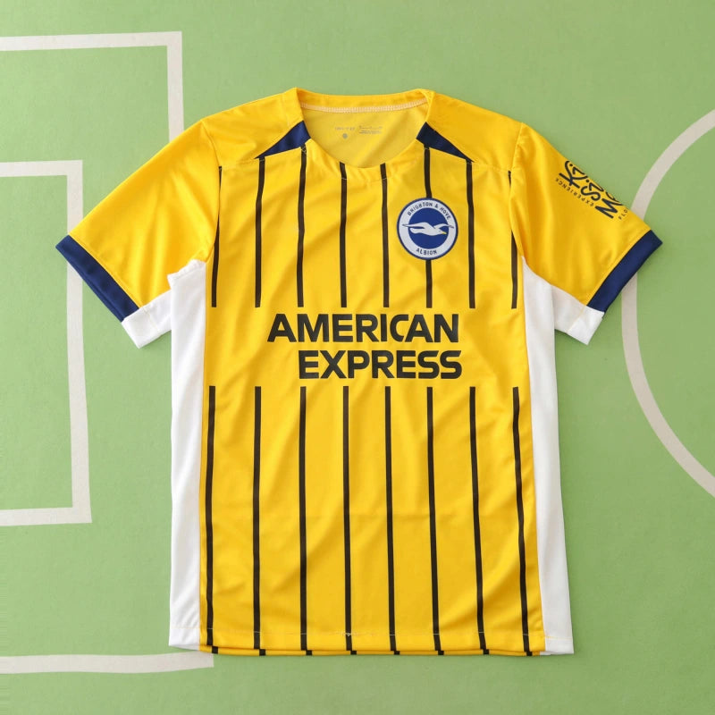 2425 season Brighton & Hove Albion F.C. away Fan version