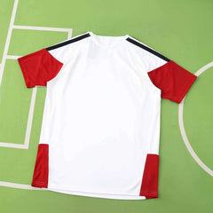 2026 FIFA World Cup Germany Training shirt Fan version