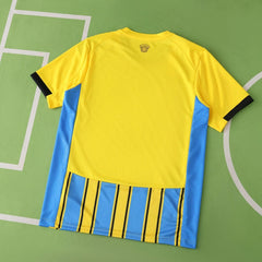 2526 season Southampton F.C. away Fan version