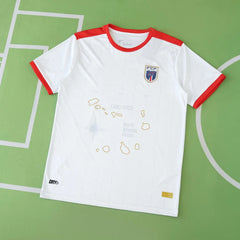 2526 season Cape Verde away Fan version