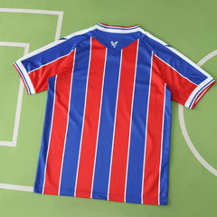 2526 season Crystal Palace F.C. home Fan version