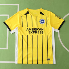 2425 season Brighton & Hove Albion F.C. away Fan version