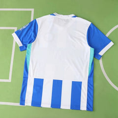 2526 season (Brighton & Hove Albion Football Club home Fan version